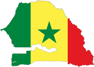exemple de tpe s la lèpre au sénégal