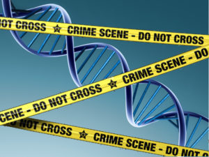exemple-tpe-s-adn-criminologie