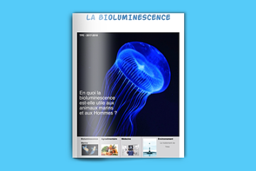La bioluminescence_1192713